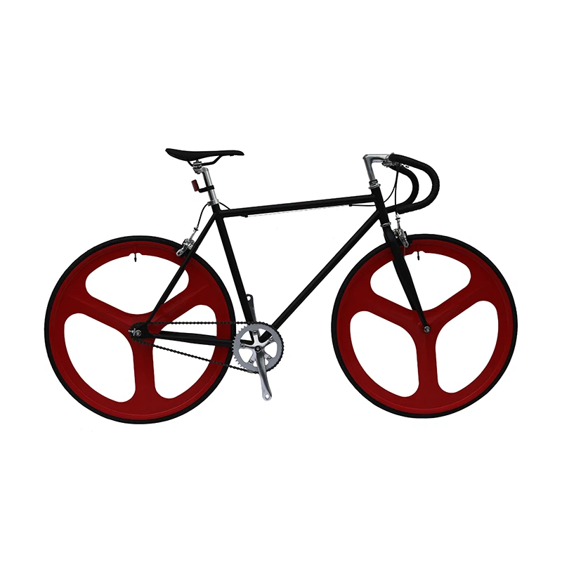 Budget Fixed Gear Bike